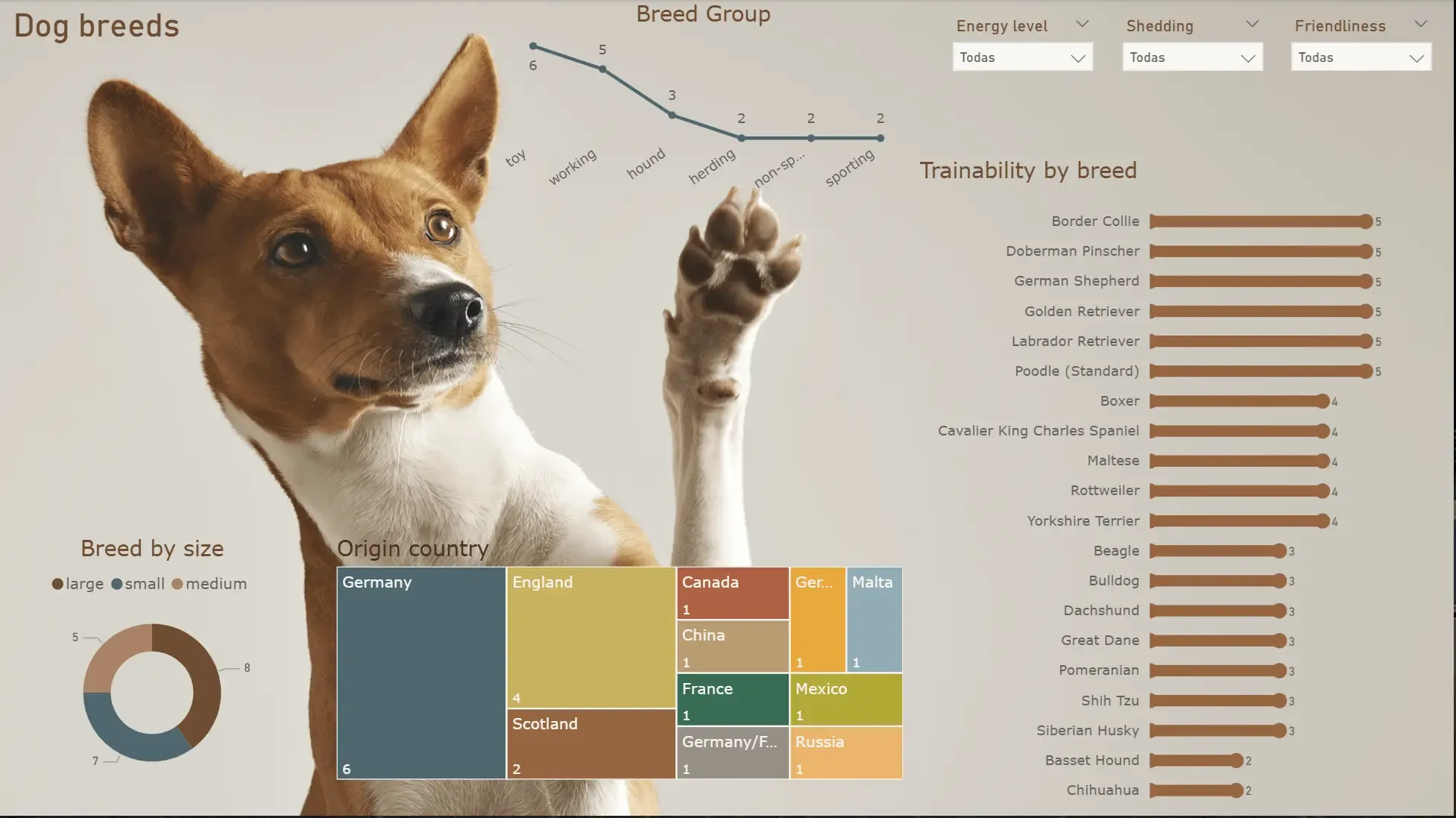Dog Breed Dashboard
